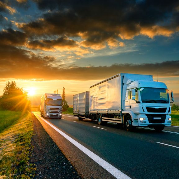 transporte transporte